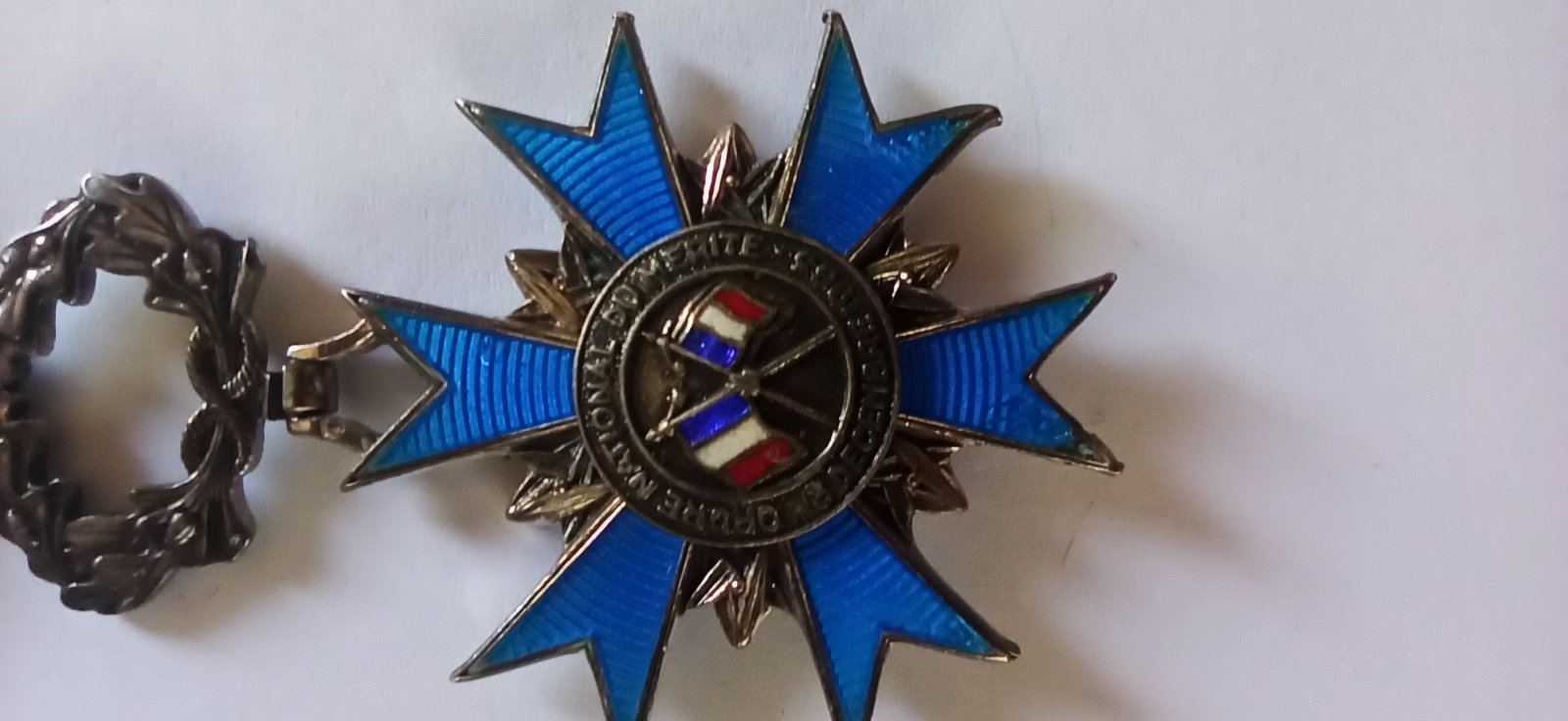 Médaille de l'Ordre Nationale du Mérite